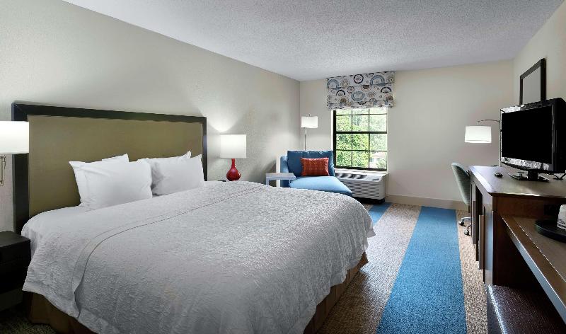 חדר סטנדרט עם מיטת קינג, Hampton Inn Helen