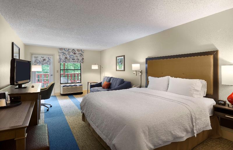 إستوديو قياسى سرير كينج, Hampton Inn Helen