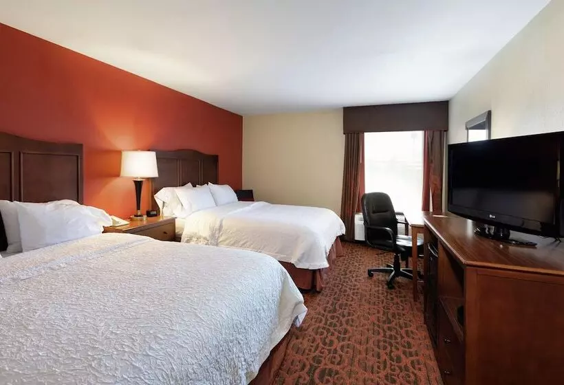 ２ダブルベッドのスタンダードルーム, Hampton Inn Houma