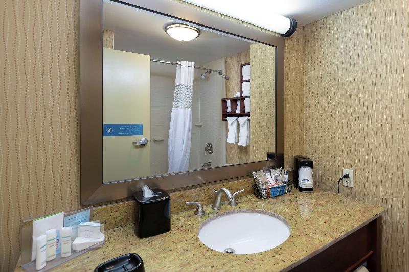 إستوديو قياسى سرير كينج, Hampton Inn Houma