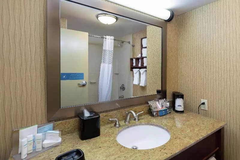 キングサイドベッドのスタンダードワンルーム, Hampton Inn Houma