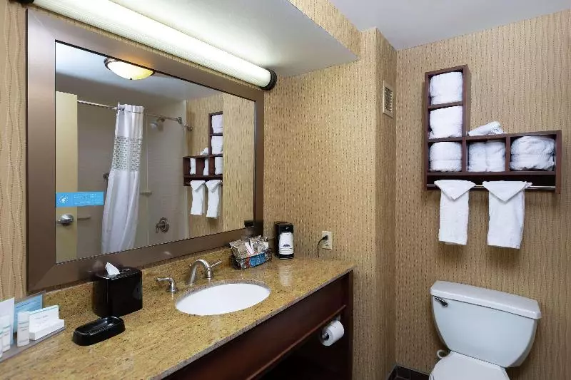 キングサイドベッドのスタンダードワンルーム, Hampton Inn Houma