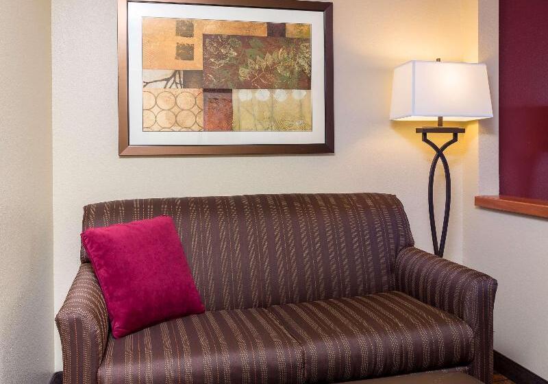 带大床的标准工作室, Hampton Inn Houston/stafford