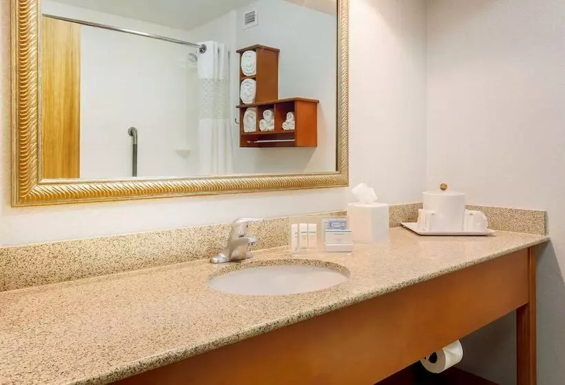 ２ダブルベッドのスタンダードルーム, Hampton Inn Laredo