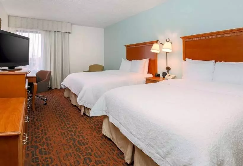 ２ダブルベッドのスタンダードルーム, Hampton Inn Laredo
