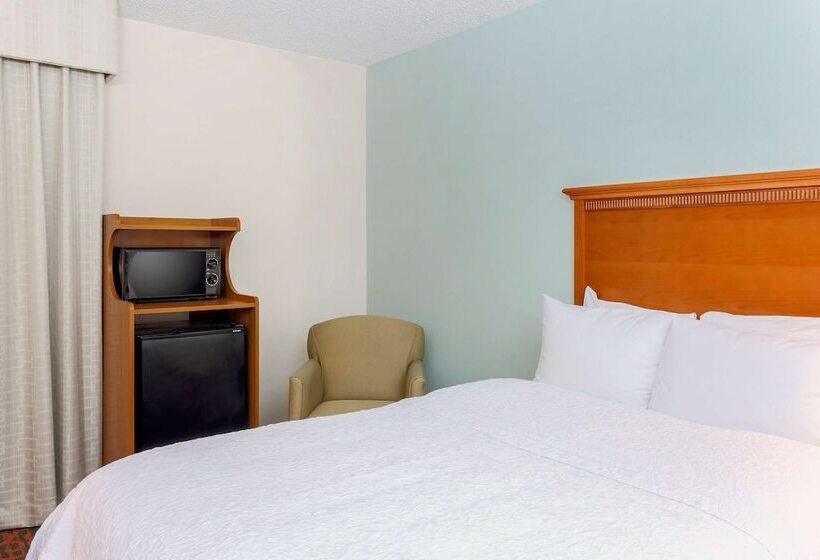 اتاق استاندارد با 2 تخت دوبل, Hampton Inn Laredo