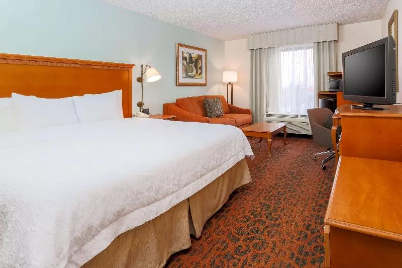 キングサイズベッドのスタンダードルーム, Hampton Inn Laredo