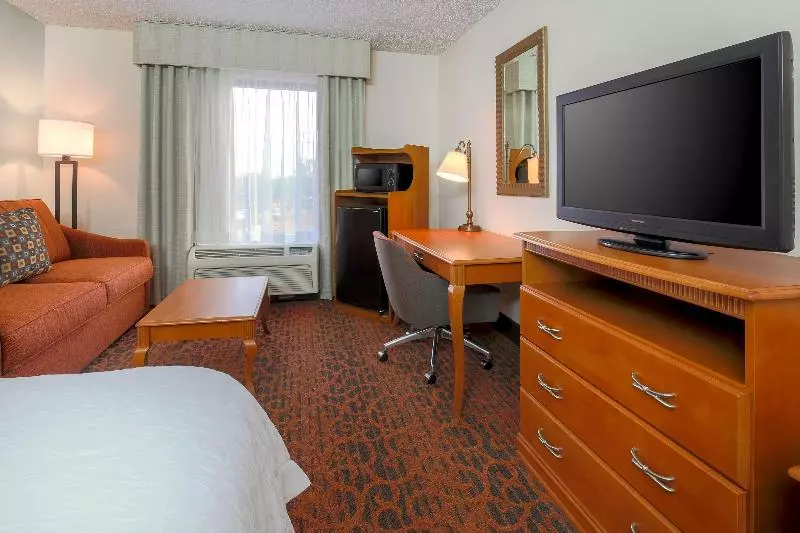 キングサイズベッドのスタンダードルーム, Hampton Inn Laredo