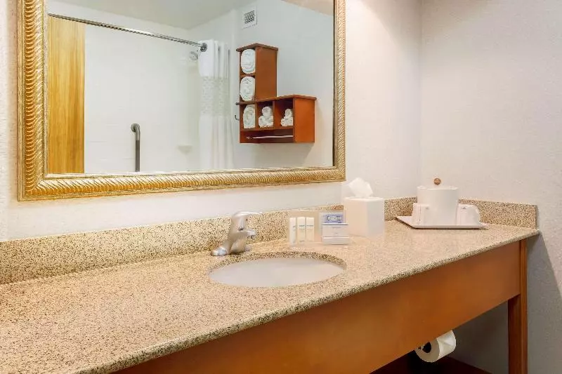 キングサイズベッドのスタンダードルーム, Hampton Inn Laredo