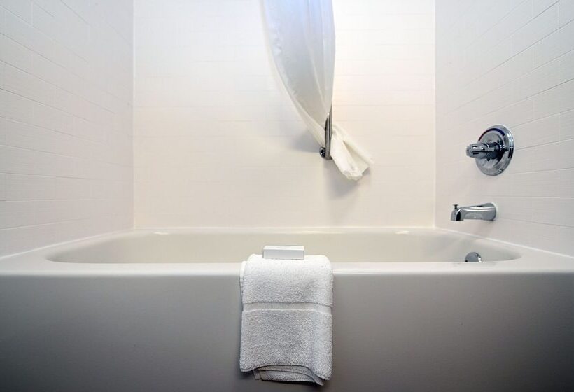 غرفة قياسية لذوى الاحتياجات الخاصة, Hampton Inn By Hilton Lexington Park