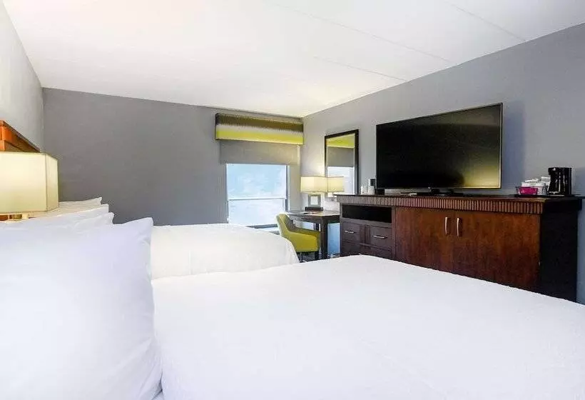 身障者適用スタンダードルーム, Hampton Inn By Hilton Lexington Park