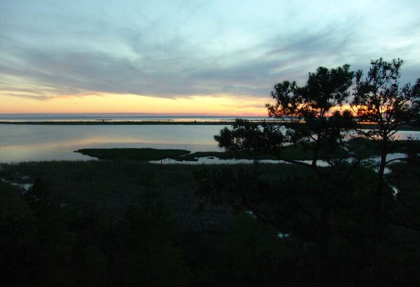 Представительский люкс с видом, Hampton Inn Mobile East Bay/daphne