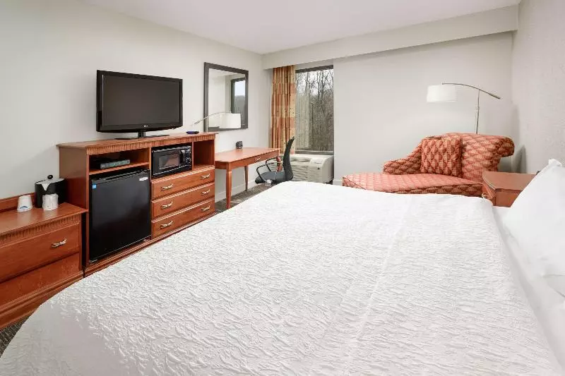 キングサイズベッドのスタンダードルーム, Hampton Inn Oak Ridge Knoxville