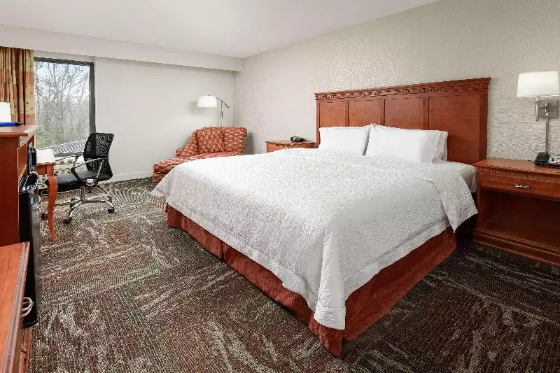 キングサイズベッドのスタンダードルーム, Hampton Inn Oak Ridge Knoxville