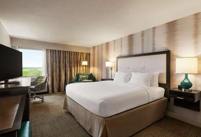 スタンダードルーム, Hampton Inn Pembroke Pines