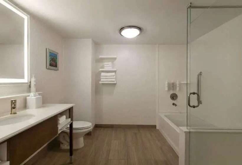 キングサイズベッドのスタンダードルーム, Hampton Inn Pembroke Pines