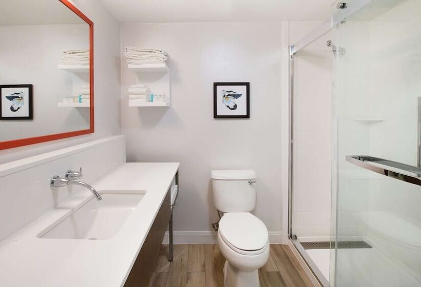 سوییت, Hampton Inn Phoenix Airport North