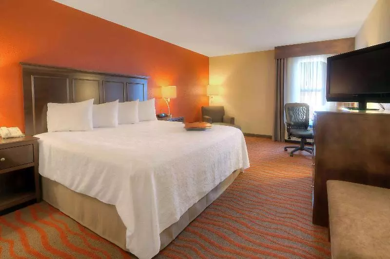 キングサイズベッドのスタンダードルーム, Hampton Inn Russellville