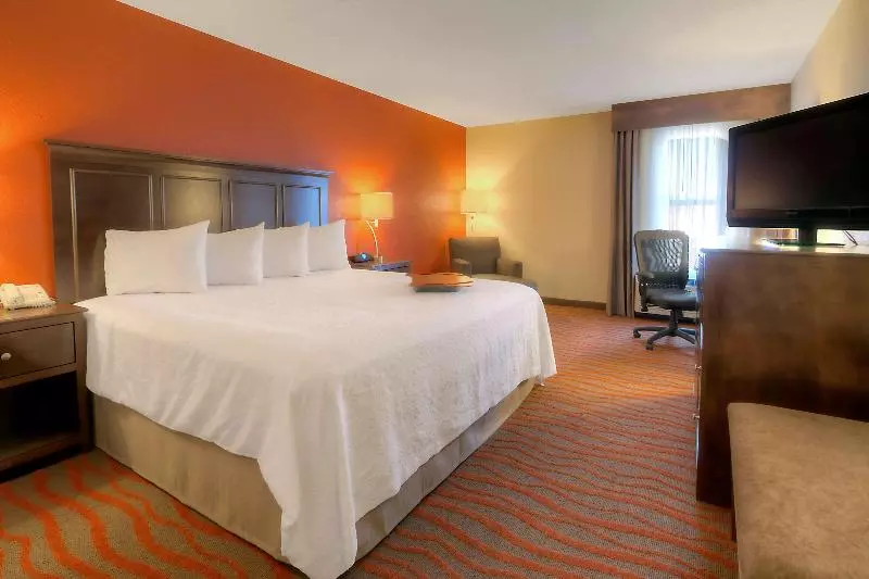 キングサイズベッドのスタンダードルーム, Hampton Inn Russellville
