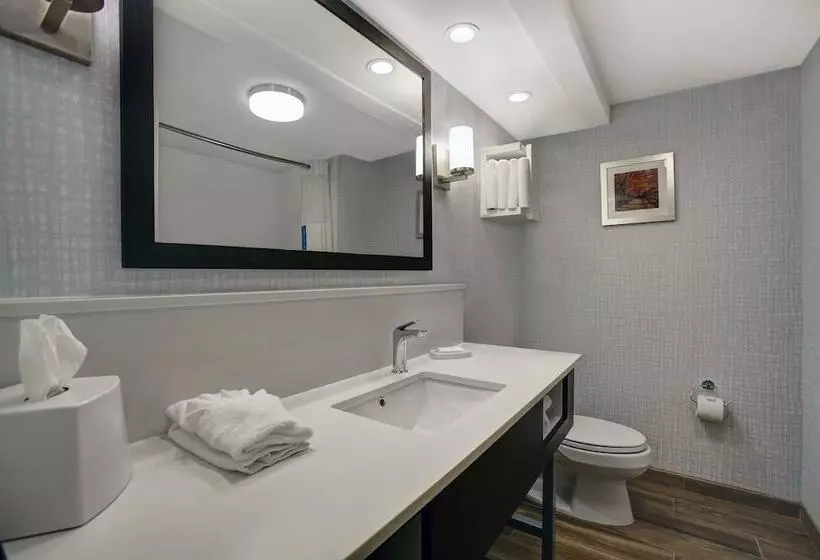 ２ダブルベッドのスタンダードルーム, Hampton Inn Salisbury