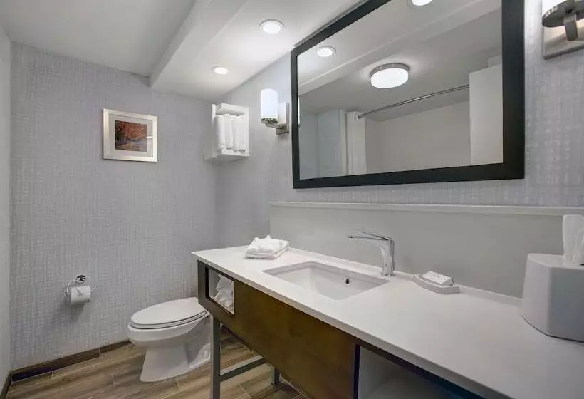 ２ダブルベッドのスタンダードルーム, Hampton Inn Salisbury