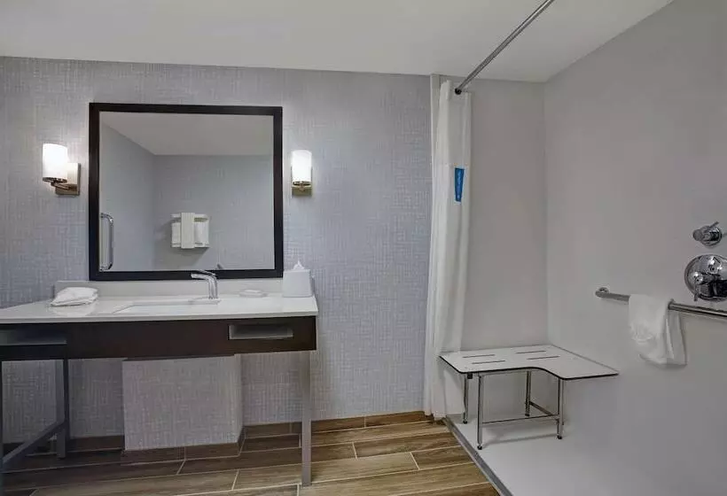 身障者適用スタンダードルーム, Hampton Inn Salisbury