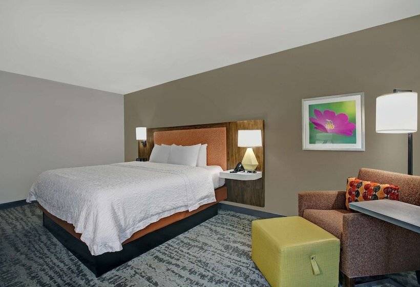 غرفة قياسية لذوى الاحتياجات الخاصة, Hampton Inn Salisbury