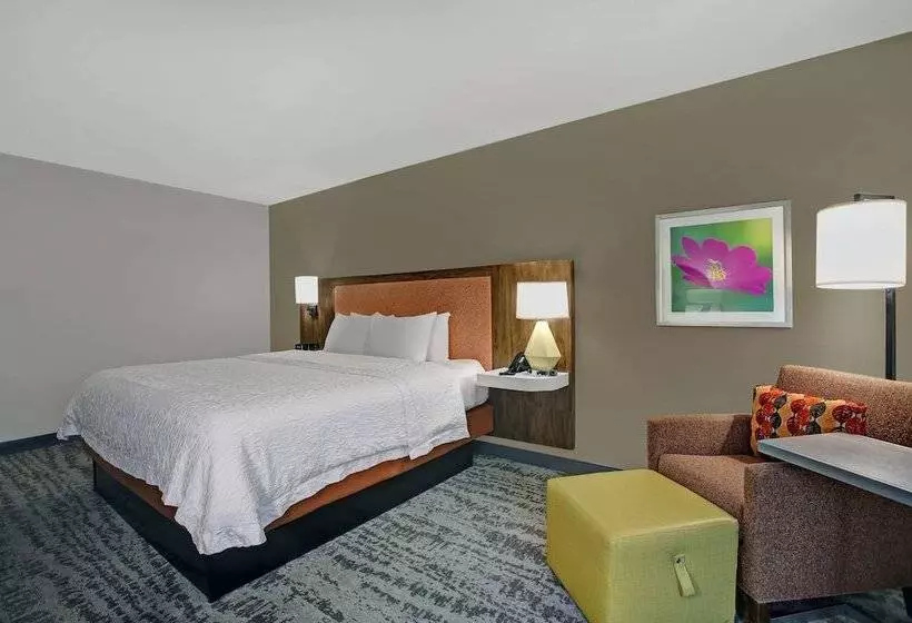 身障者適用スタンダードルーム, Hampton Inn Salisbury