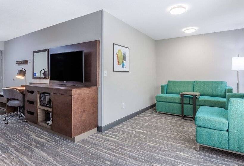 חדר סטנדרט, Hampton Inn Sioux Falls