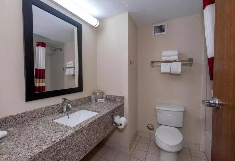 キングサイズベッドのデラックスルーム, Red Roof Inn Prattville