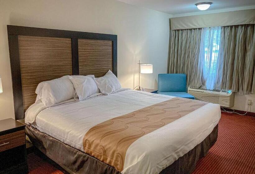 キングサイズベッドのスイートルーム, Motel 6 Elkhart, In