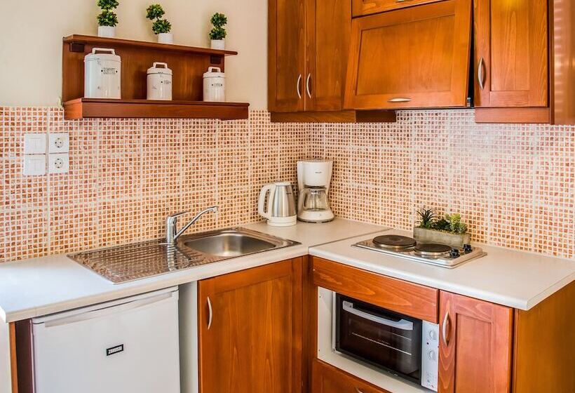 غرفة قياسية مزوَّدة بشُرفة, Gianthea Studios And Apt