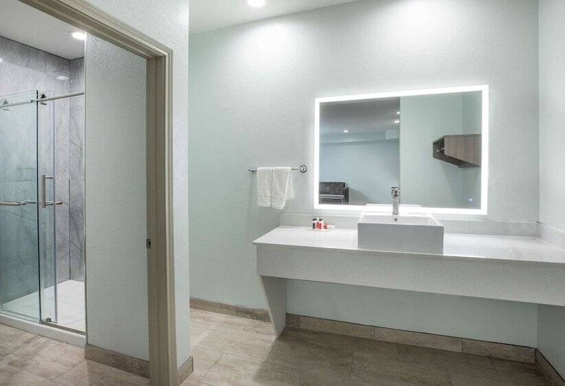 اتاق استاندارد, Super 8 By Wyndham Humble Houston Fallcreek