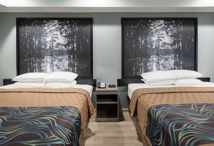 Standardrum, Super 8 By Wyndham Humble Houston Fallcreek