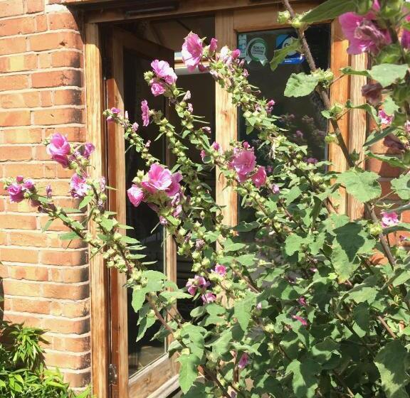 Deluxe Kamer met Kingsize Bed, Bybrook Barn Bed & Breakfast