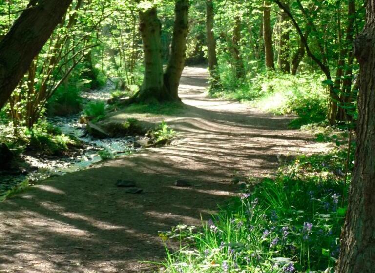 Deluxe Kamer met Kingsize Bed, Bybrook Barn Bed & Breakfast