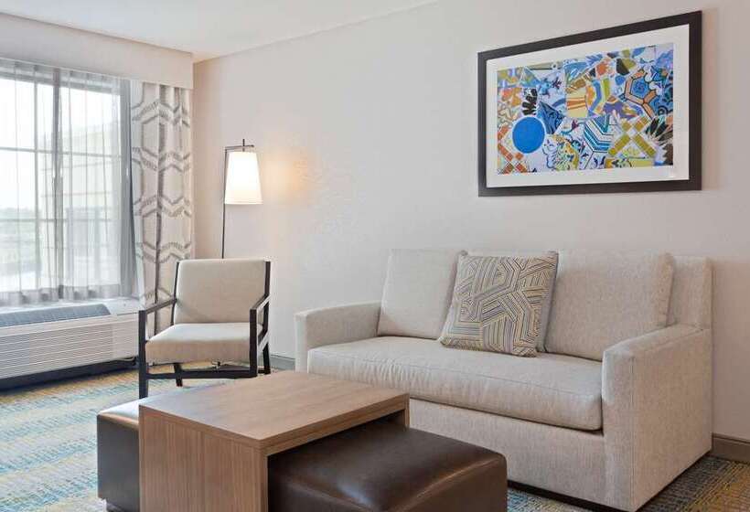 جناح ديلوكس سرير كينج, Auburn Hills