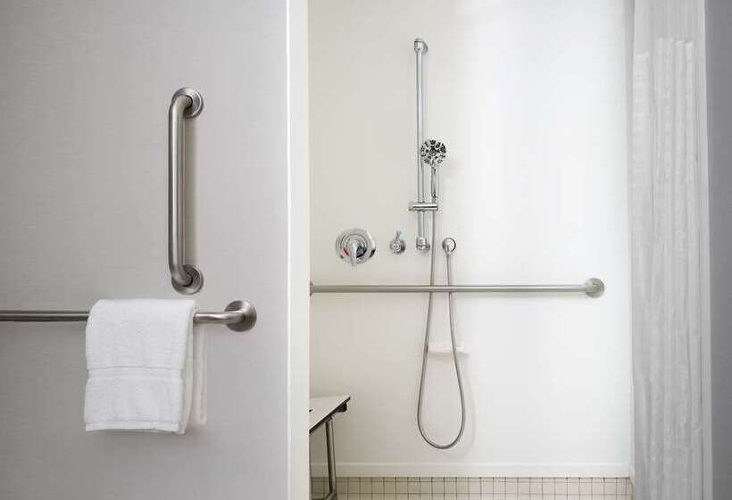 جناح ديلوكس سرير كينج, Auburn Hills