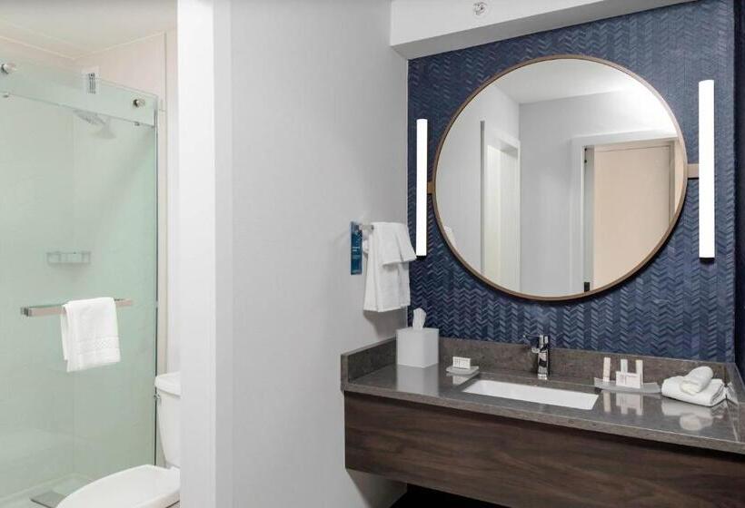 اتاق استاندارد با تخت بزرگ, Fairfield Inn & Suites Springfield Enfield