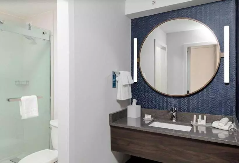 キングサイズベッドのスタンダードルーム, Fairfield Inn & Suites Springfield Enfield
