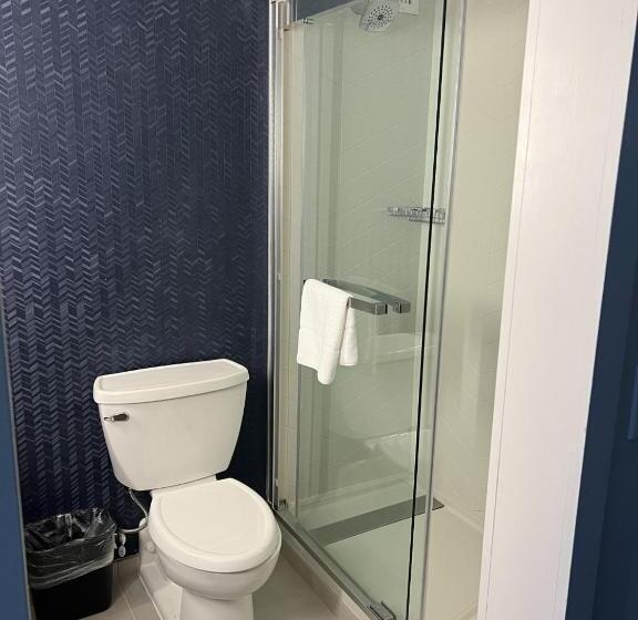 استودیو استاندارد با تخت کینگ, Fairfield Inn & Suites Springfield Enfield