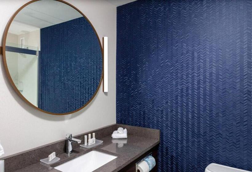 Стандартный Номер Кровать Кинг, Fairfield Inn & Suites Springfield Enfield