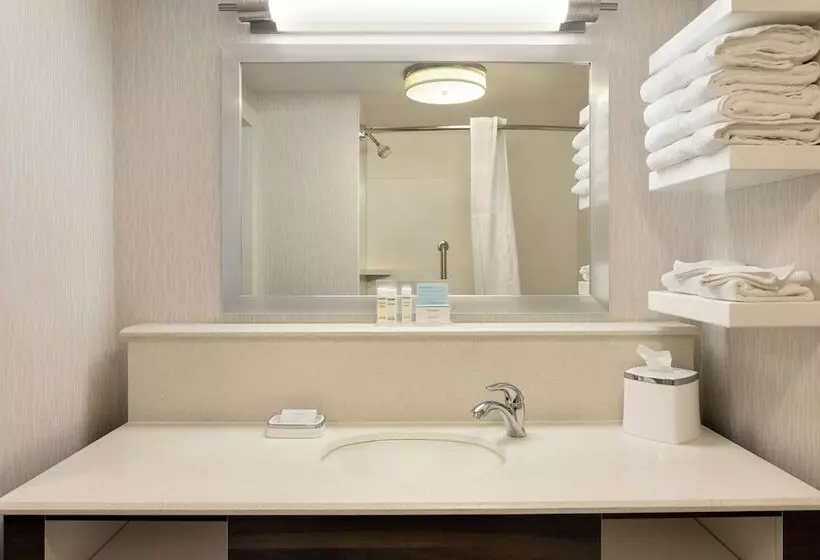 ２ダブルベッドのスタンダードルーム, Hampton Inn Birmingham/trussville
