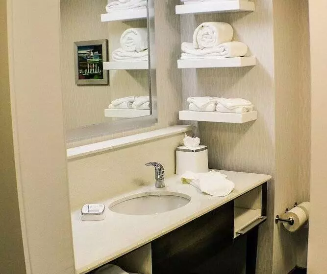 ２ダブルベッドのスタンダードルーム, Hampton Inn Birmingham/trussville