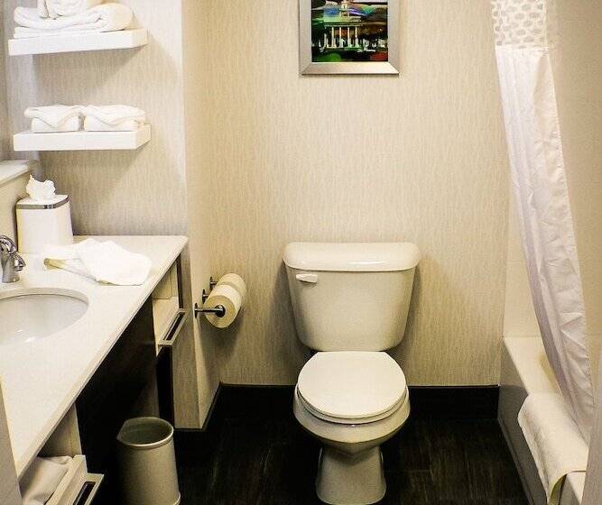 غرفه قياسيه سريرين مزدوجين, Hampton Inn Birmingham/trussville