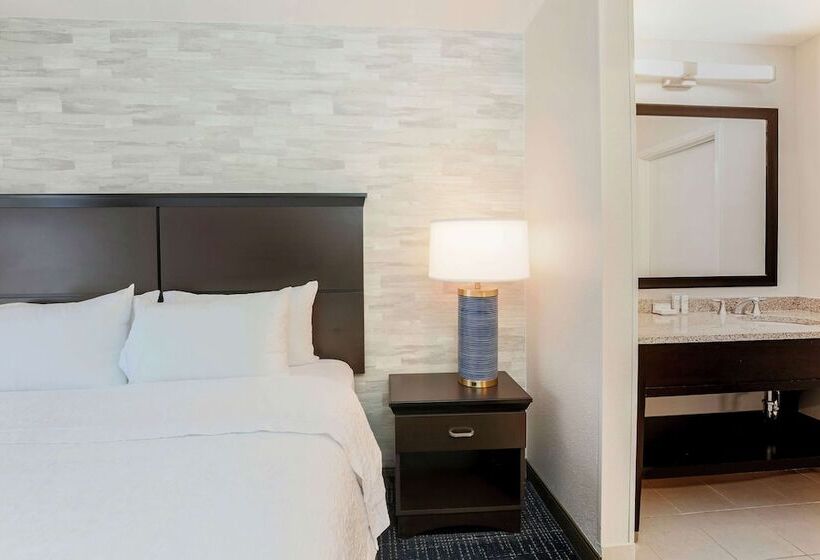 Люкс, Hampton Inn & Suites Denver Tech Center