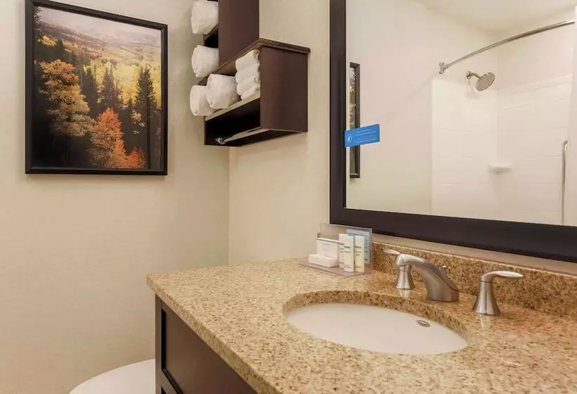 ２ダブルベッドのスタンダードルーム, Hampton Inn & Suites Denver Tech Center