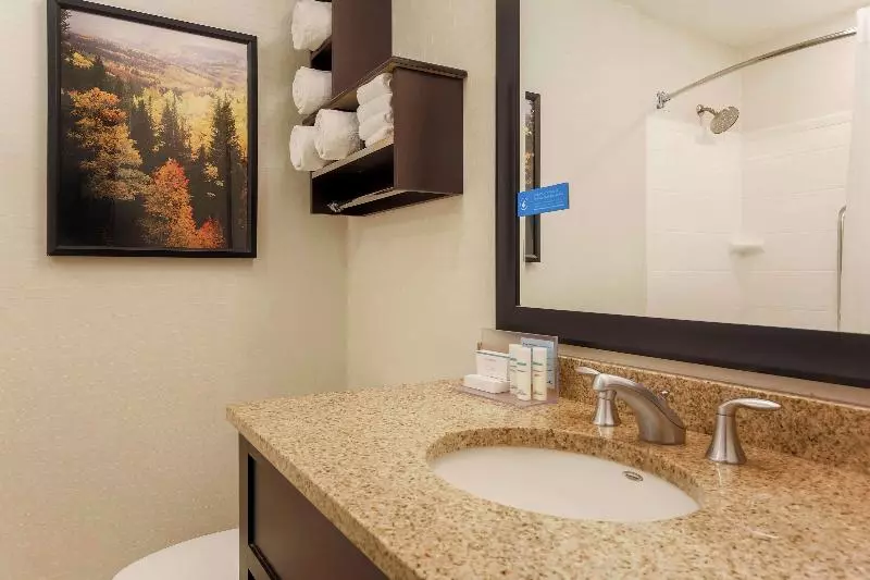 スイート, Hampton Inn & Suites Denver Tech Center