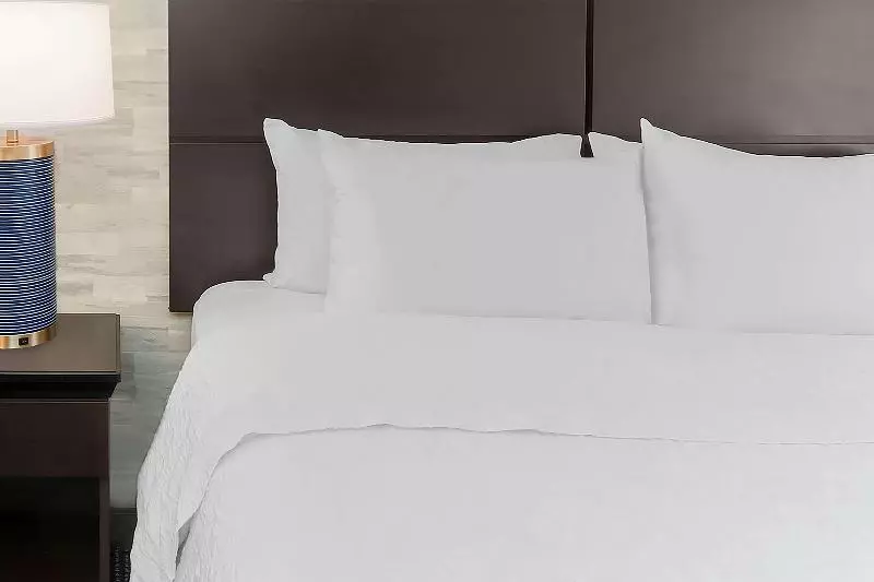 キングサイズベッドのスタンダードルーム, Hampton Inn & Suites Denver Tech Center