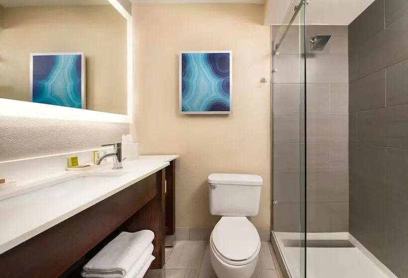 ２ダブルベッドのスタンダードルーム, Hilton Clearwater Beach Resort & Spa